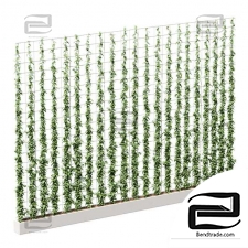 Ivy on the grid