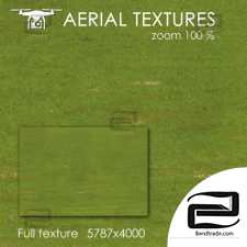 Field with grass