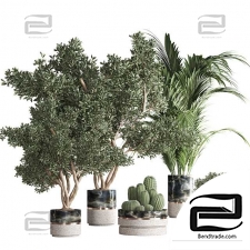 indoor plant set25