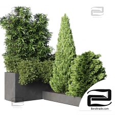 Collection plant 