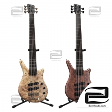 Bass guitar