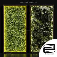 Vertical gardens phytostenes