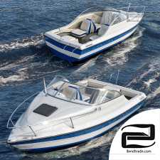 The Bayliner boat