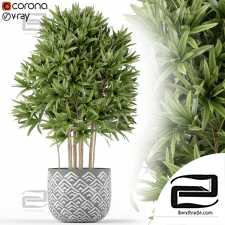 Indoor plants set 305