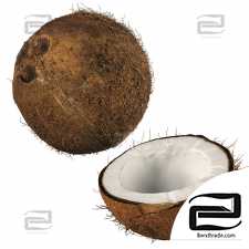 Coconut