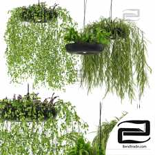 Pendant Lamp Indrid Decorative Plants Black Light By Lightmakers