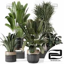Indoor plants Ferm Living Bau Pot Large