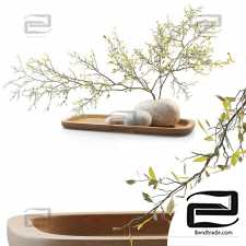 Bouquets of plum branch