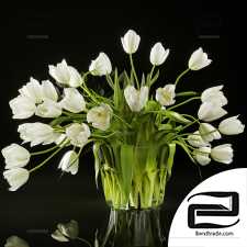 Bouquets of Tulips