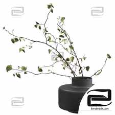 Bouquets of branches 11