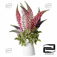 Bouquets with lupines