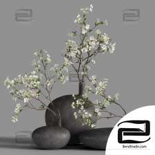 Bouquets of Cherry blossom branches