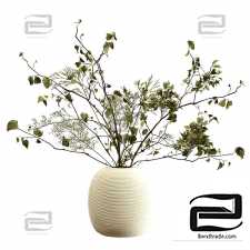 Bouquets of branches