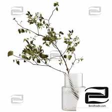 Bouquets of a branch in a vase 4