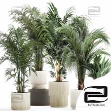 Indoor plants set 77