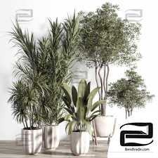 Indoor plants set 69