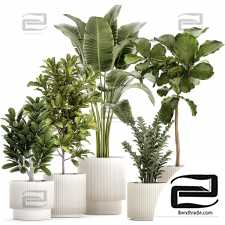 Indoor plants set 64