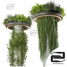 Indoor plants set 44