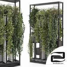 Indoor plants 647