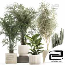 Indoor plants set 34