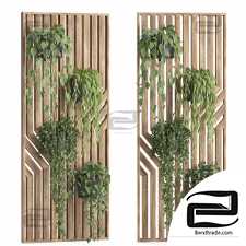 Indoor plants of wooden wall