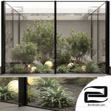 Indoor plants 655