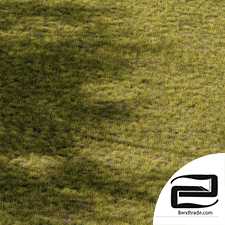 Short grass