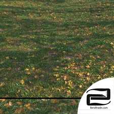 Grass with leaves