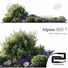 Alpine slide 02