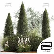 Set of plants 05