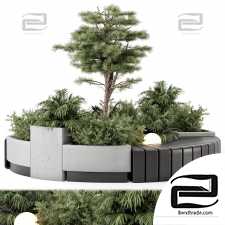 Outdoor plants 381