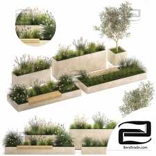 Outdoor plants 455