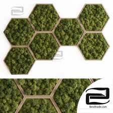 Green Wall Panel Plant Walls