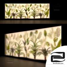 Phyto showcase