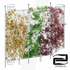 Phytostains 101