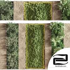 Phytostains Concrete and vertical garden