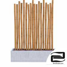 Bamboo Sticks