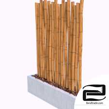 Bamboo Sticks