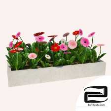 Flower bed 3D Model id 14857