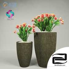 Pot, flower