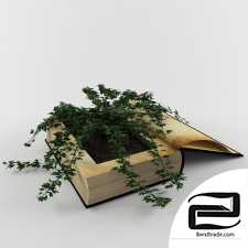 Plant in book