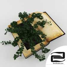 Plant in book