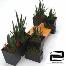 Architectural outdoor bench and plant