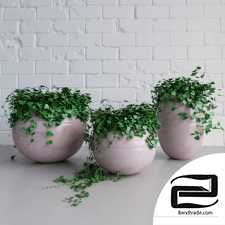 Decorative planters set