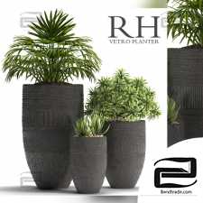 Street plants Street plants RH