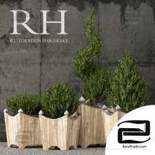 Street plants Street plants Restoration Hardware 14