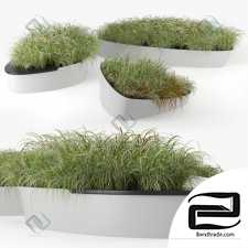 Grass Planterworx Dune