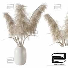 Bouquet Bouquet Pampas grass