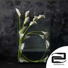 Bouquet Bouquet White calla lilies