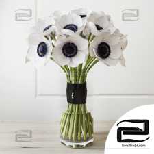 Bouquet Bouquet white anemone